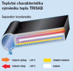 Sušiče